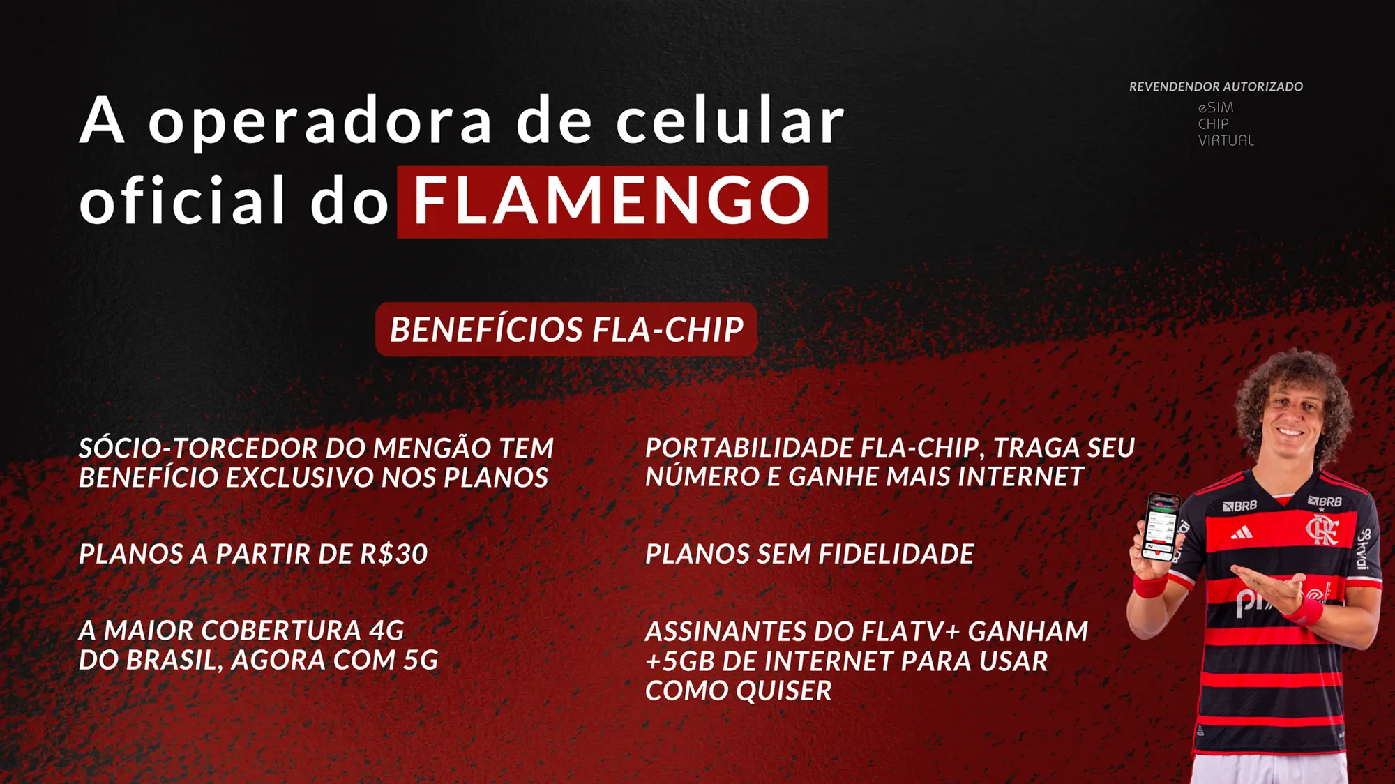 banner-fla-chip